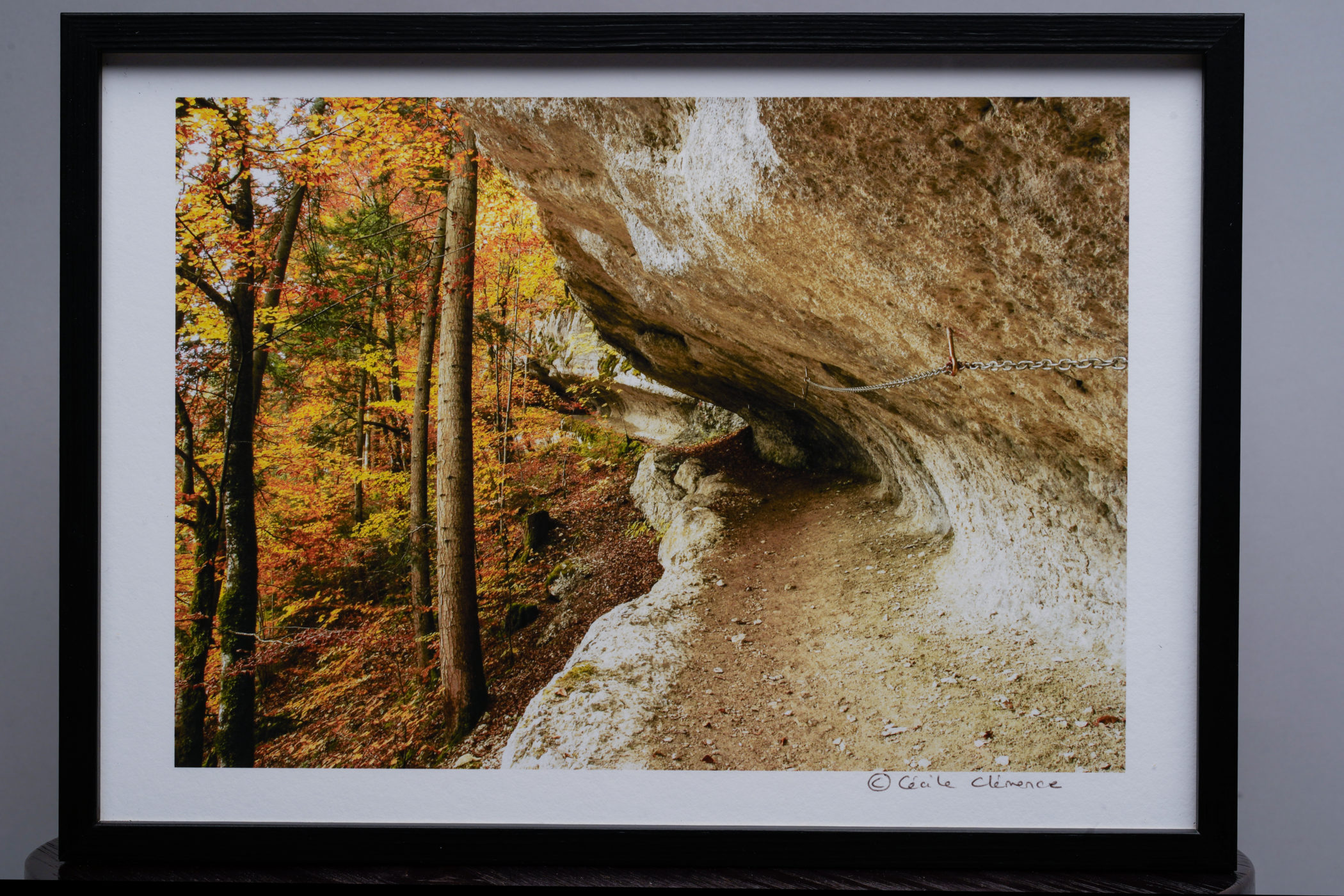 a vendre corridor aux loups l atelier revoc decoration 0008 copie scaled