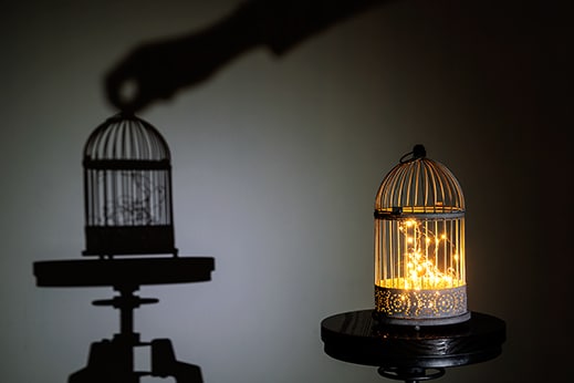 Transmission du savoir photographique – Cours et formation en image et composition