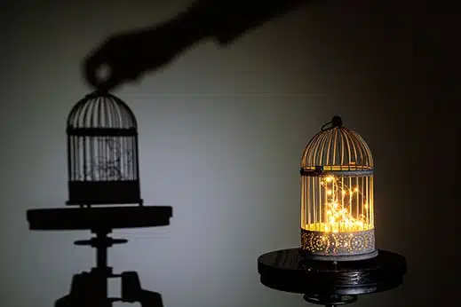 Transmission du savoir photographique – Cours et formation en image et composition