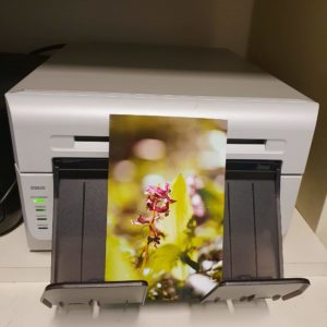 Impression photo à sublimation comme Smartphoto ou Ifolor dans le canton de Neuchâtel.