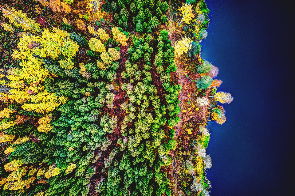 finlande drone automne atelier revoc copie finlande drone automne atelier revoc copie