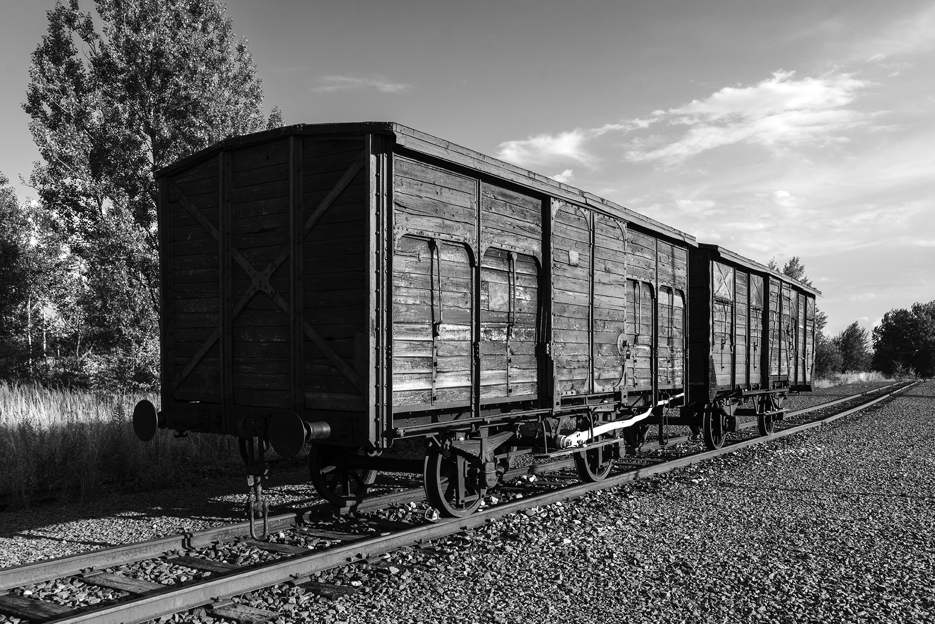 memoire auschwitz wagon deportation memoire auschwitz wagon deportation