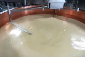 Fabrication du fromage – Fromagerie de La Côte-aux-Fées Brassage du lait lors de la fabrication du fromage à La Côte-aux-Fées